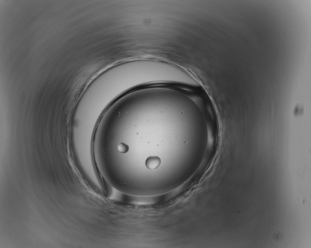 X0000112880097200908281647