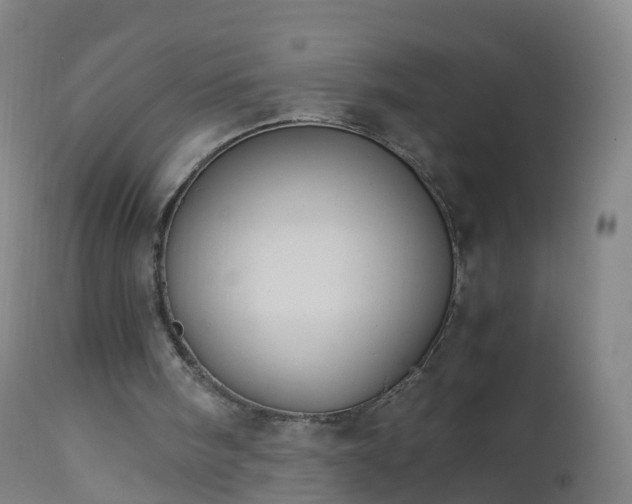 X0000112880098200908281647