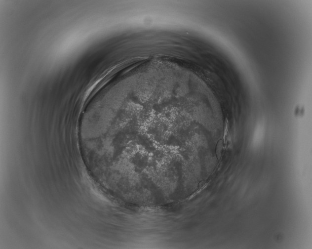 X0000112880099200908281647