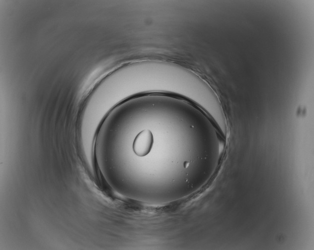 X0000112880101200908281647