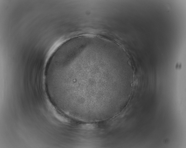 X0000112880102200908281647