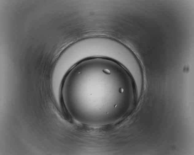 X0000112880105200908281647