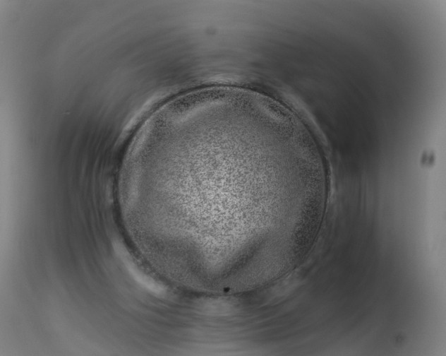 X0000112880106200908281647