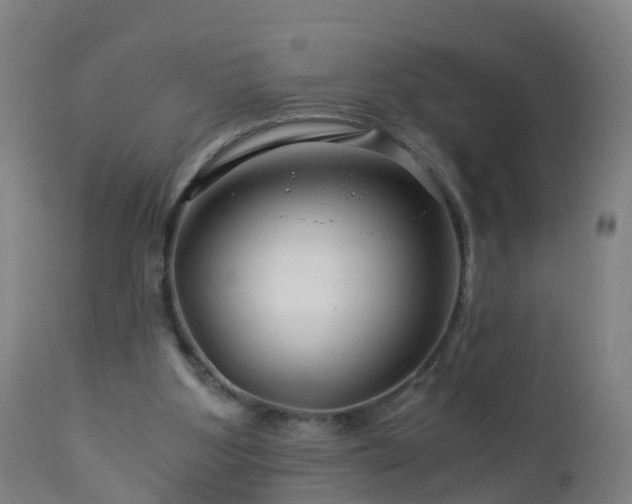 X0000112880107200908281647