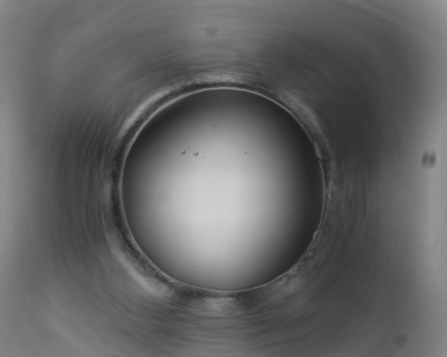 X0000112880108200908281647