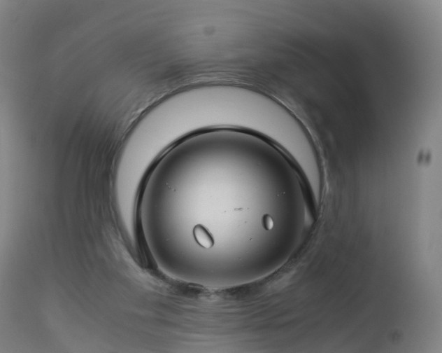 X0000112880109200908281647