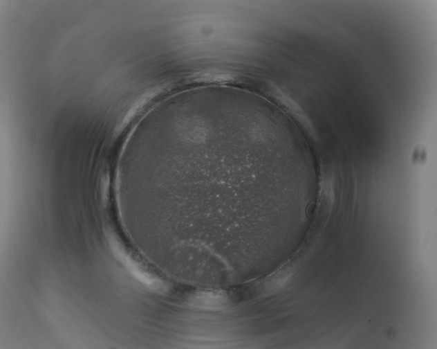 X0000112880110200908281647