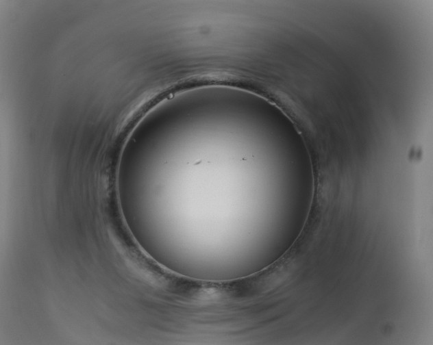 X0000112880111200908281647