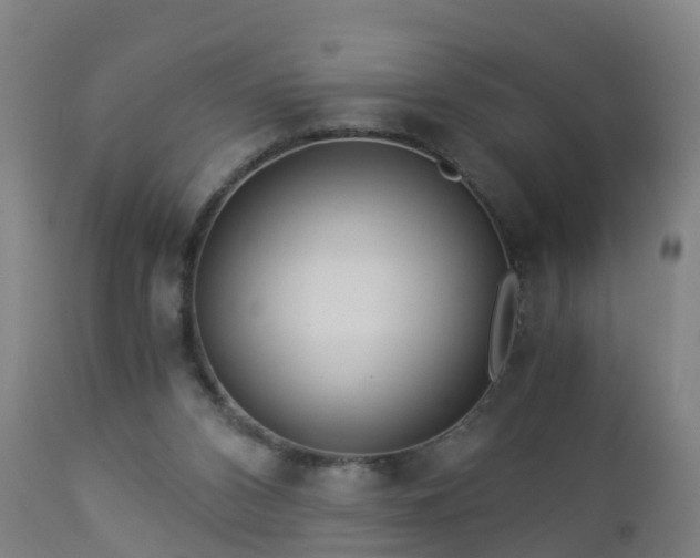 X0000112880112200908281646