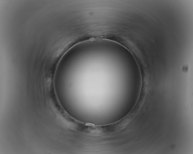 X0000112880113200908281646