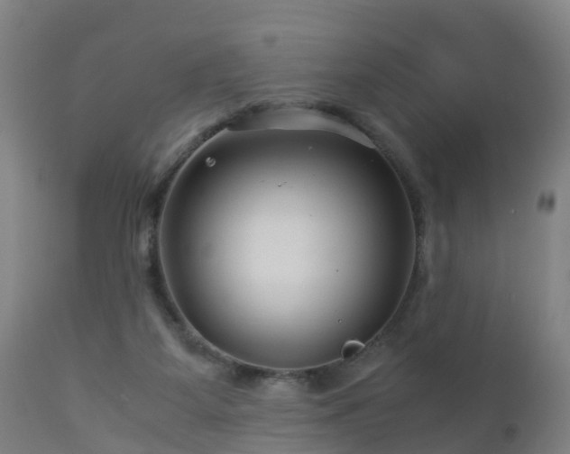 X0000112880115200908281646