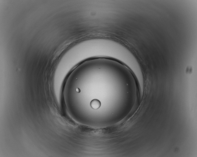 X0000112880116200908281646