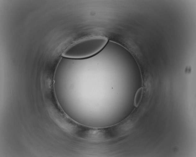 X0000112880117200908281646