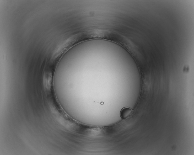 X0000112880118200908281646