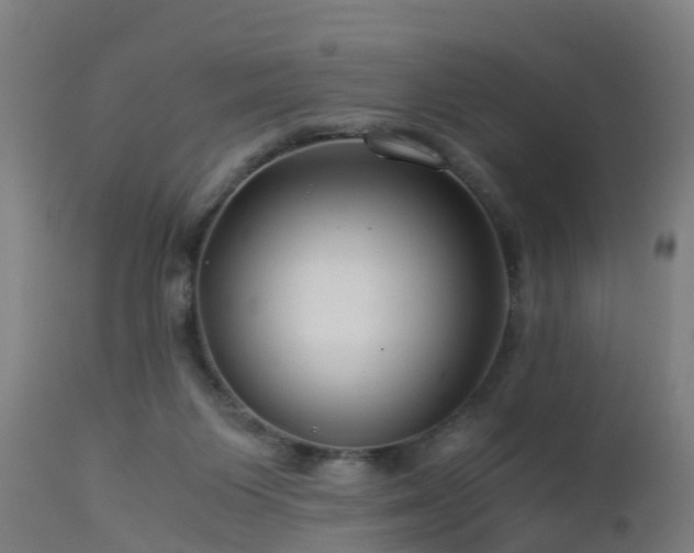 X0000112880119200908281646