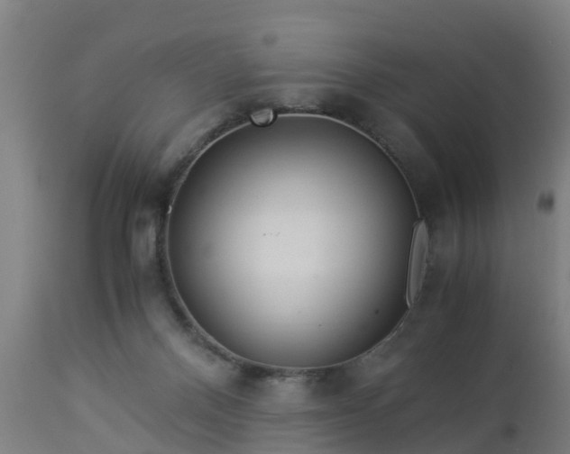 X0000112880120200908281646