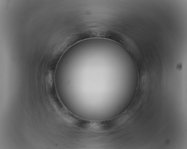 X0000112880121200908281646