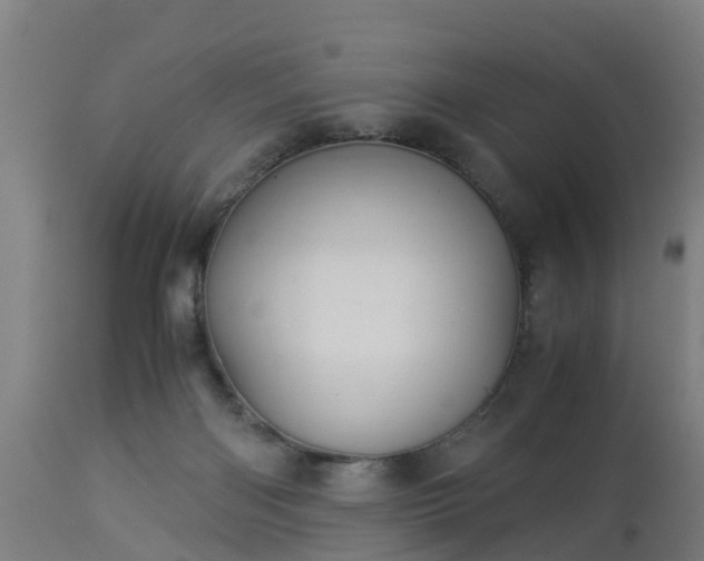 X0000112880122200908281646