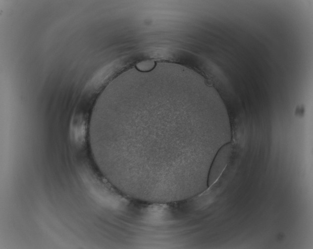 X0000112880124200908281646