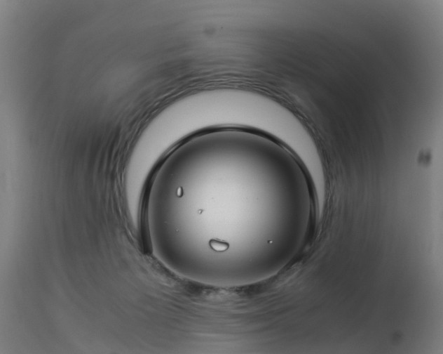 X0000112880125200908281646