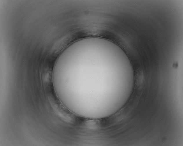 X0000112880126200908281646