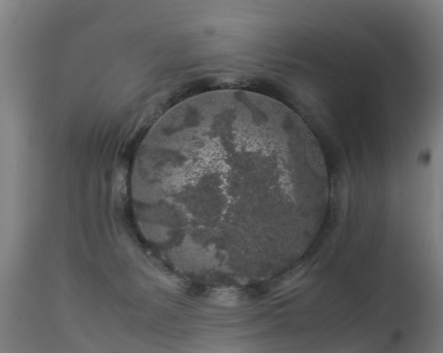 X0000112880127200908281646