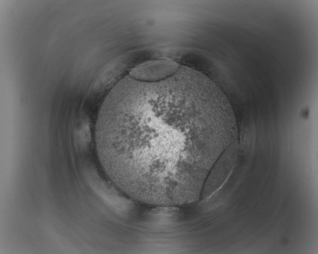 X0000112880128200908281646