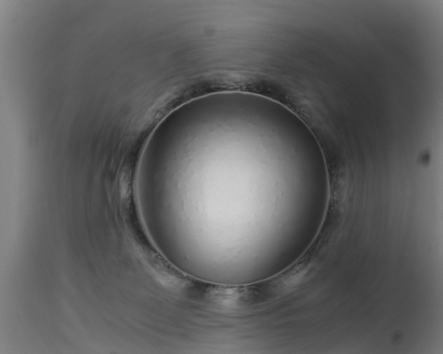 X0000112880131200908281646