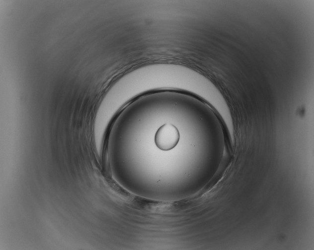 X0000112880132200908281646