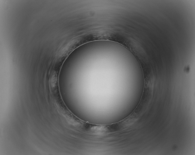 X0000112880133200908281646