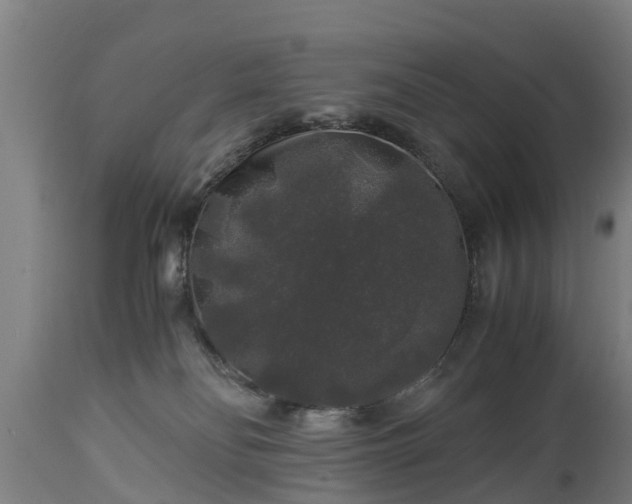 X0000112880134200908281646