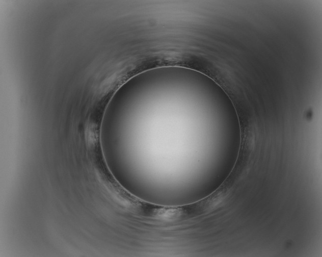 X0000112880135200908281646