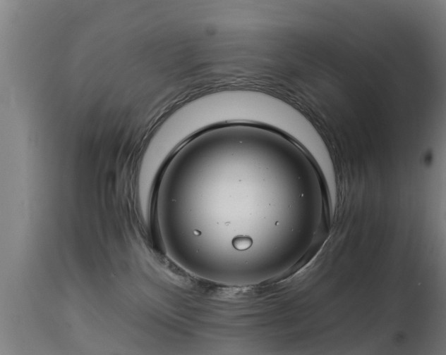 X0000112880136200908281646