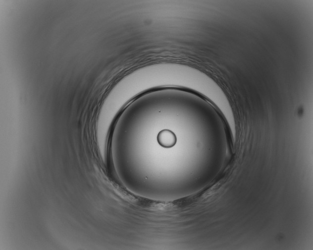 X0000112880137200908281646