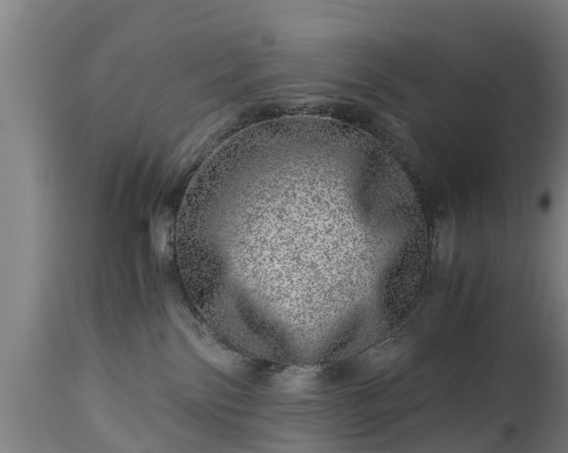 X0000112880138200908281646