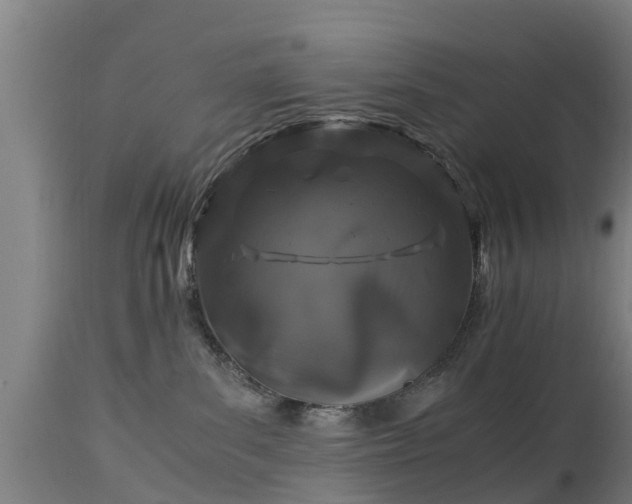 X0000112880139200908281646