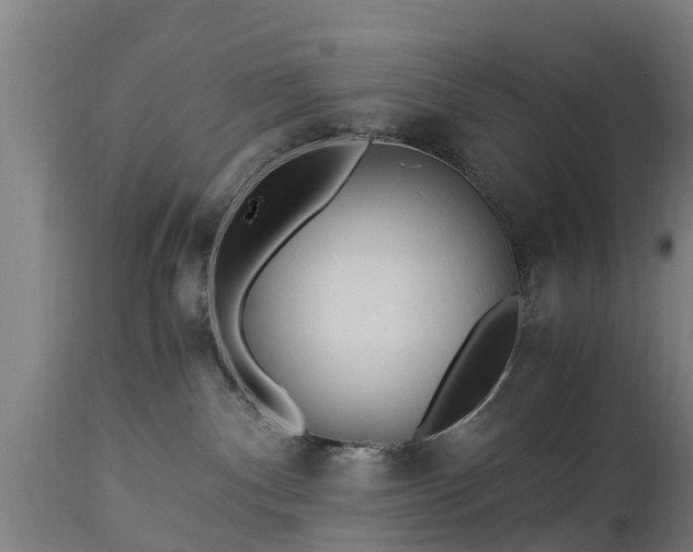 X0000112880140200908281646