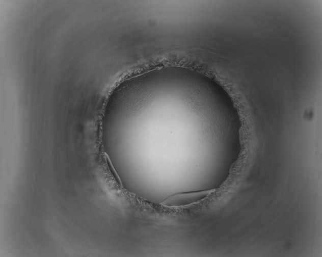 X0000112880144200908281646