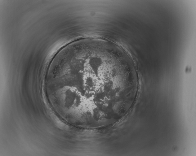 X0000112880145200908281645