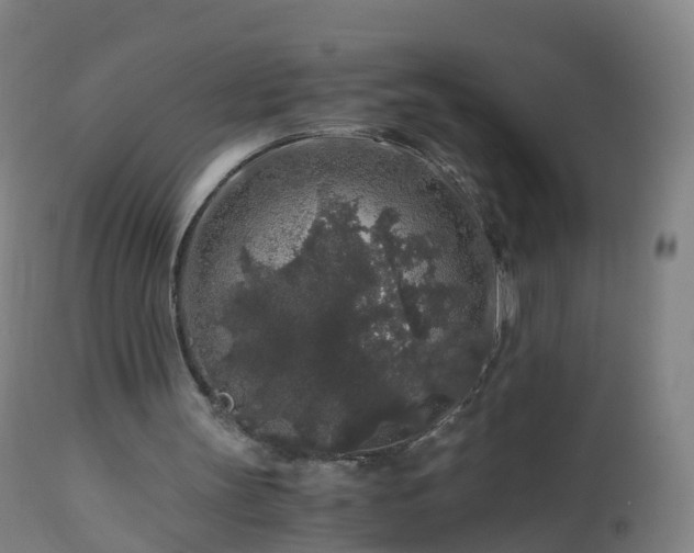 X0000112880147200908281645