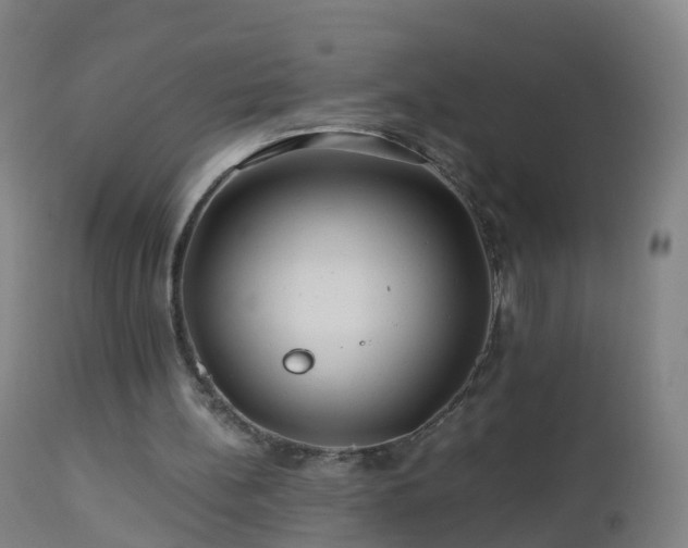 X0000112880148200908281645