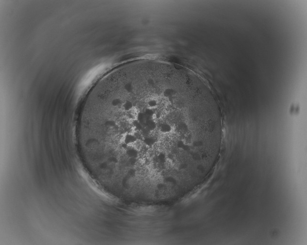 X0000112880149200908281645