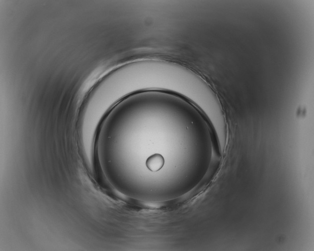 X0000112880150200908281645