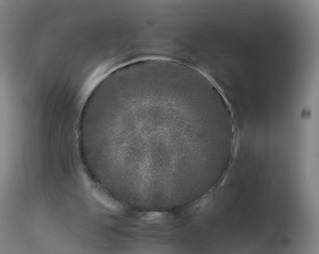 X0000112880151200908281645