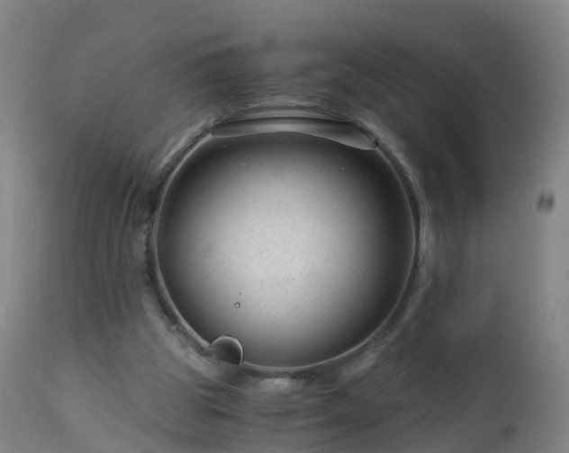 X0000112880153200908281645