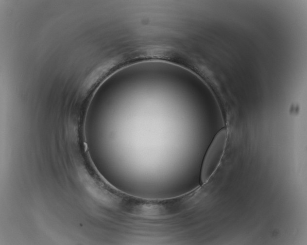 X0000112880154200908281645