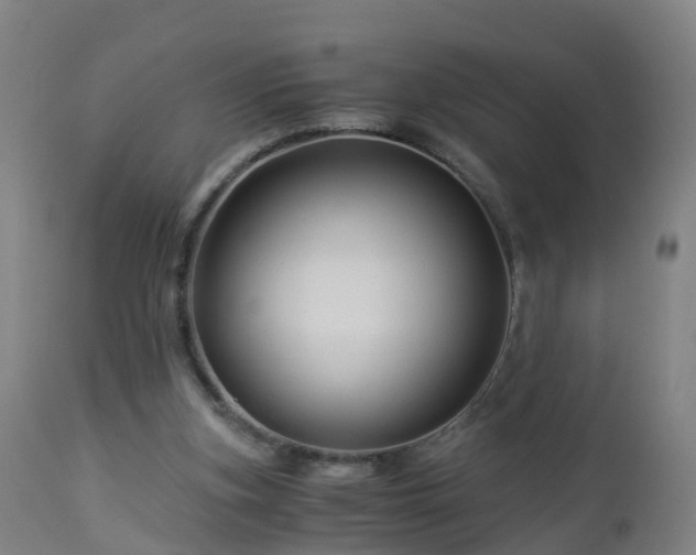 X0000112880155200908281645