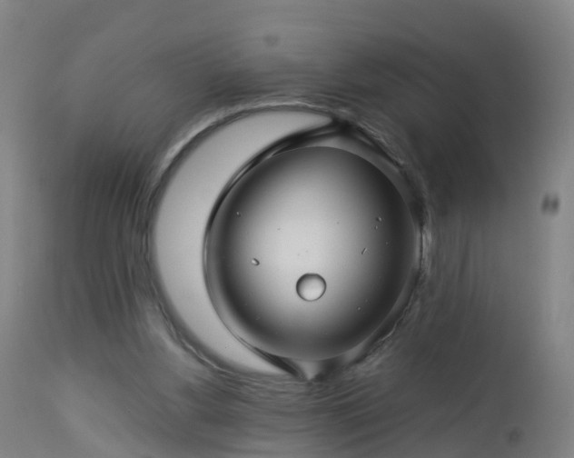 X0000112880156200908281645