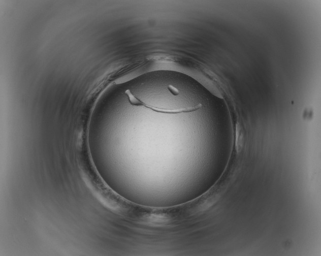 X0000112880157200908281645