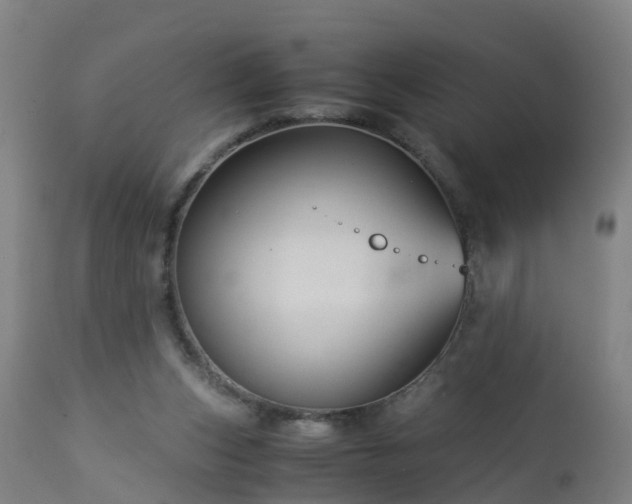 X0000112880159200908281645